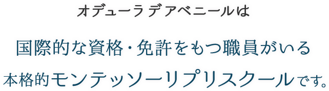 オデューラ デ アベニールは国際的な資格・免許をもつ職員がいる本格的なモンテッソーリプリスクールです。